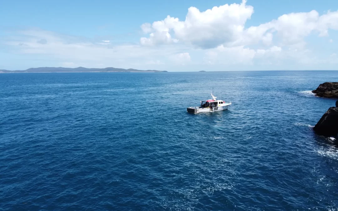 Exploring the Wonders of the Great Barrier Reef: A Dive into Marine Majesty