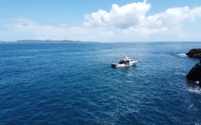 Exploring the Wonders of the Great Barrier Reef: A Dive into Marine Majesty
